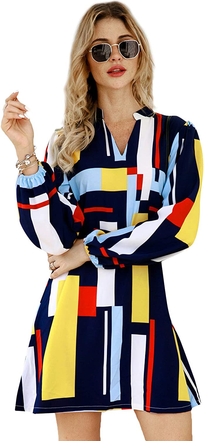 Women's Casual Long Sleeve V Neck Color Block Shift Dress