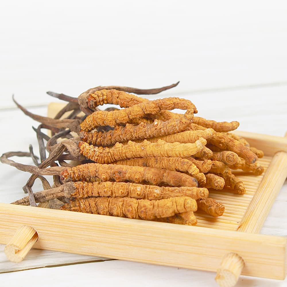 Wild Cordyceps Sinensis;Wild Cordyceps Sinensis 9g